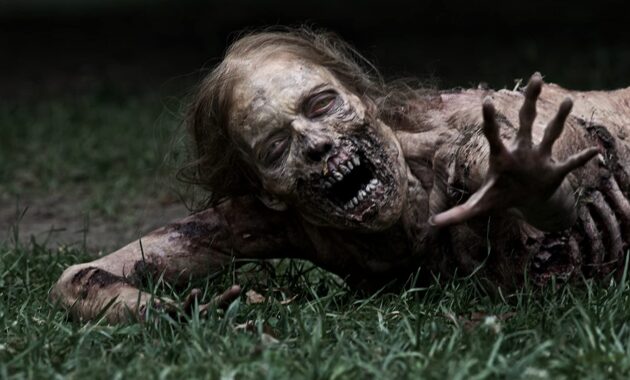 The Walking Dead : photo