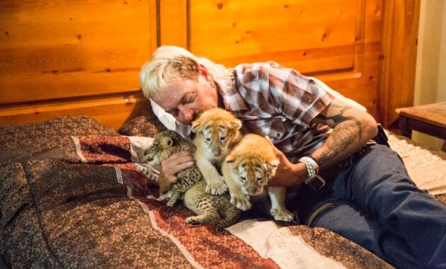Au Royaume des fauves : photo, Joe Exotic