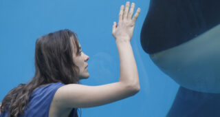 De rouille et d'os : photo, Marion Cotillard