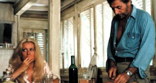 Le Sauvage : photo, Yves Montand