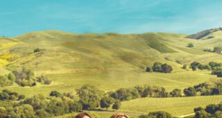 Un week-end à Napa : Affiche officielle