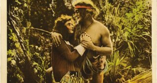Tarzan chez les singes : photo