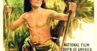 Tarzan chez les singes : Affiche officielle