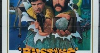le casseurs de gang : Affiche officielle