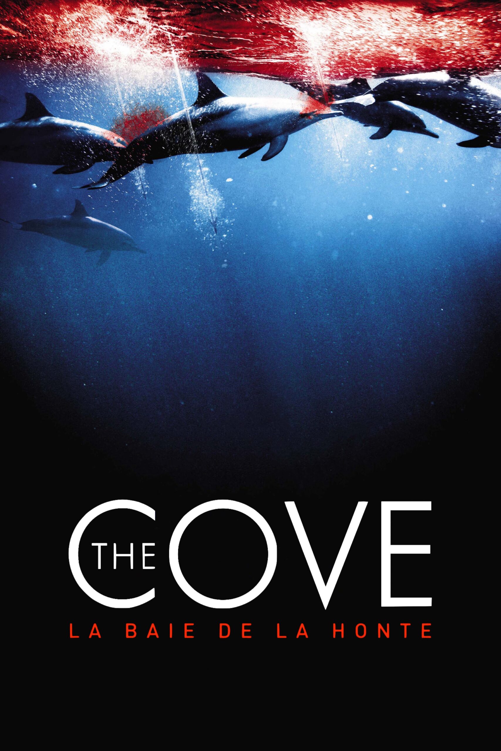 The Cove - La Baie de la honte