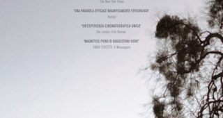 La cinquième saison : Affiche officielle