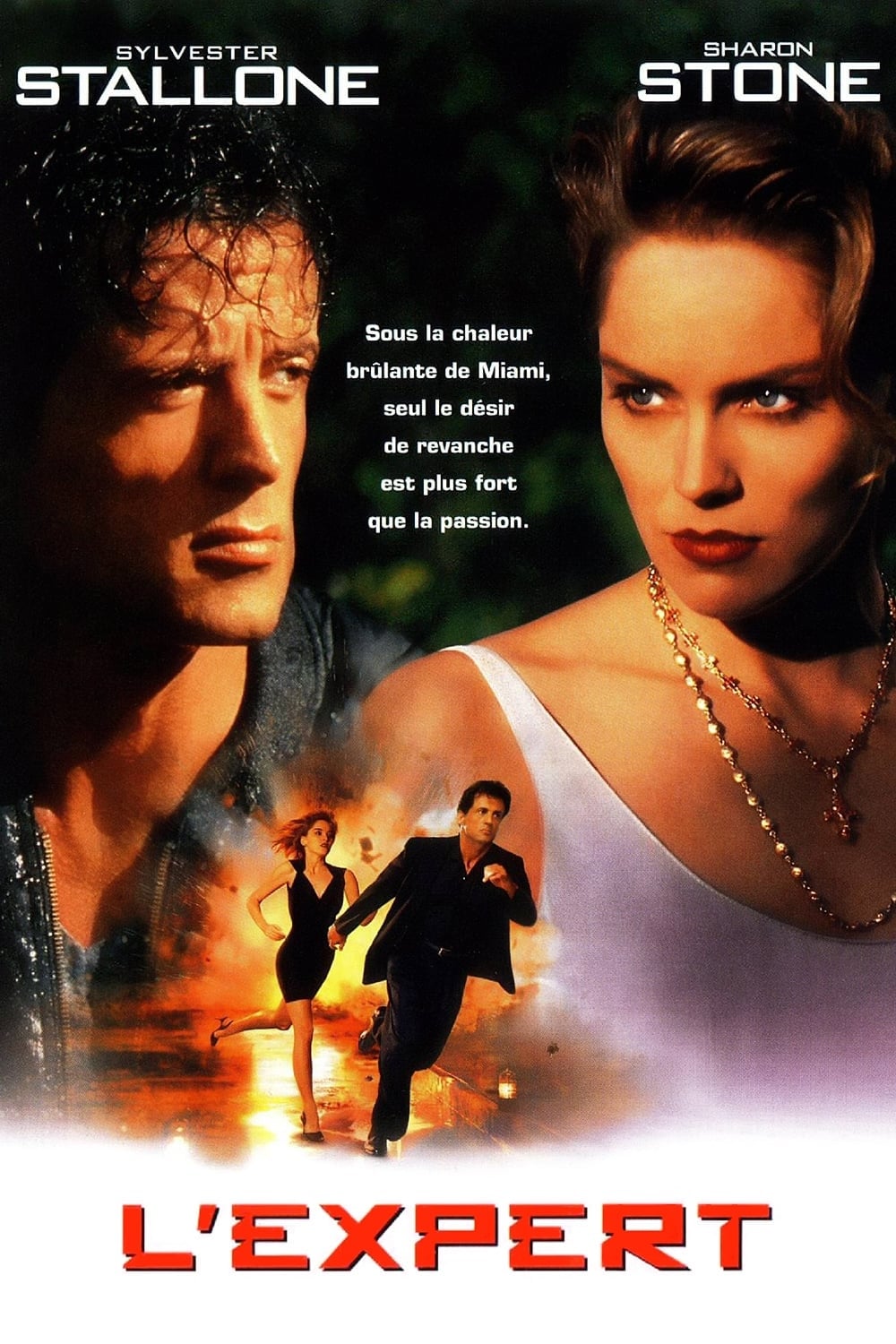 L'expert