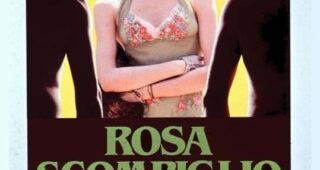 Rambling Rose : Affiche officielle