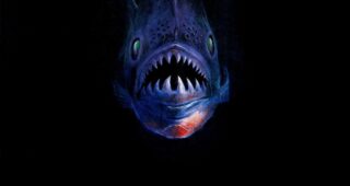 Piranha : Affiche officielle