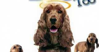 Miracle Dogs Too : Affiche officielle