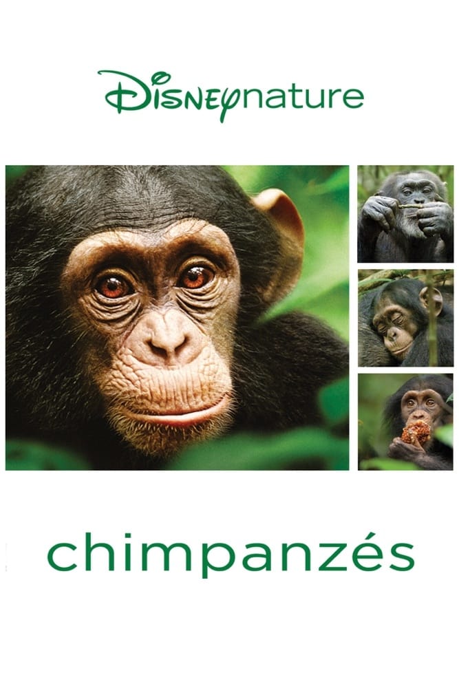 Chimpanzés : Affiche officielle