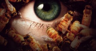 Candyman 3 : Le jour des morts : Affiche officielle