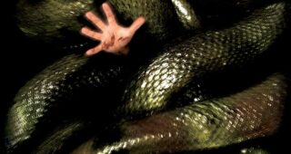 Anacondas : À la poursuite de l'orchidée de sang : Affiche officielle