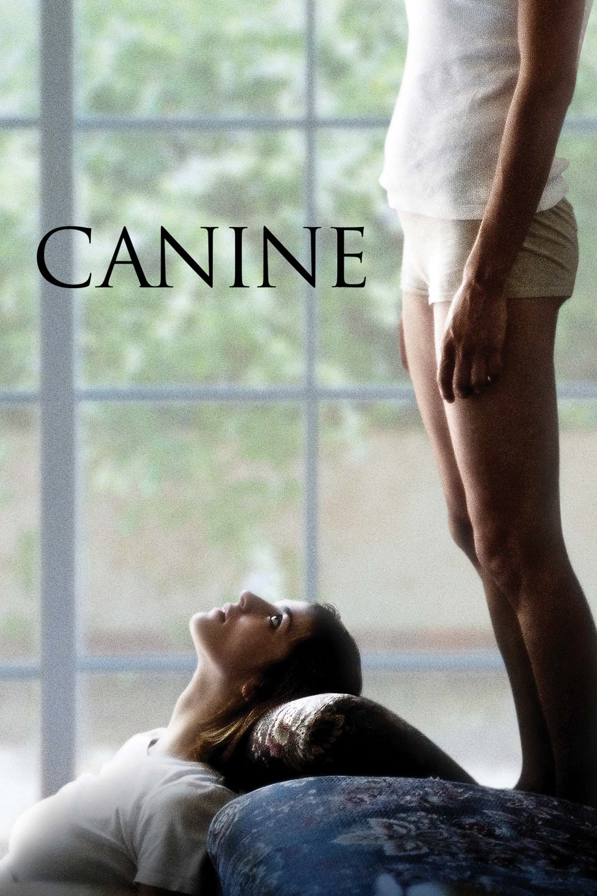Canine : Affiche officielle