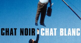 Chat noir, Chat blanc : Affiche officielle