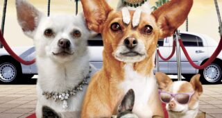 Le Chihuahua de Beverly Hills 2 : Affiche officielle