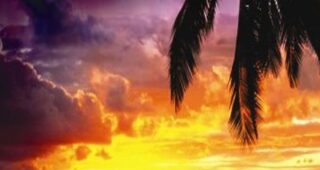Sunrise Earth : Affiche officielle
