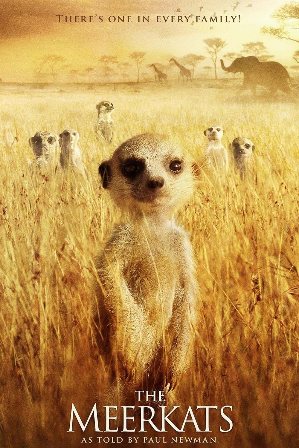 Bob Weinstein : Photo officielle