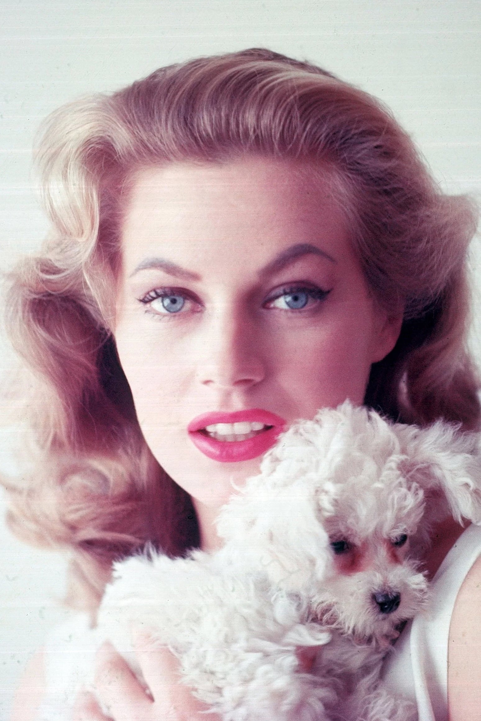 Anita Ekberg : Photo officielle