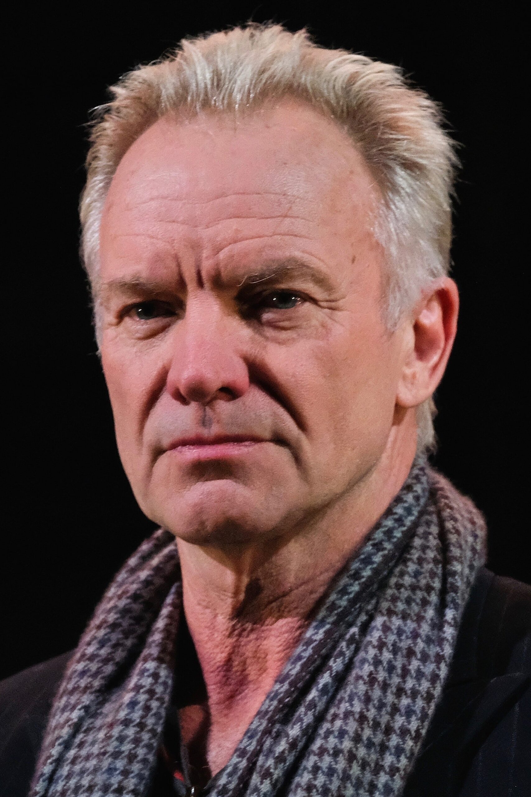 Sting : Photo officielle