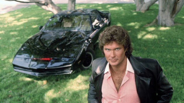 photo, David Hasselhoff