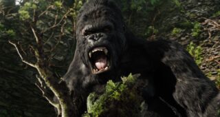 King Kong : photo