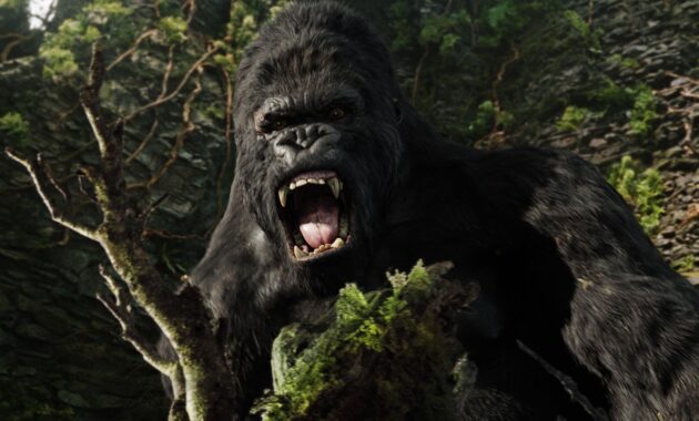 King Kong : photo