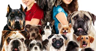 Palace pour chiens : Affiche officielle