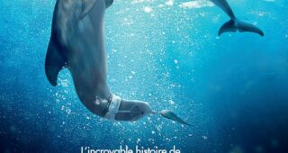 L'incroyable histoire de Winter le dauphin 2 : Affiche officielle