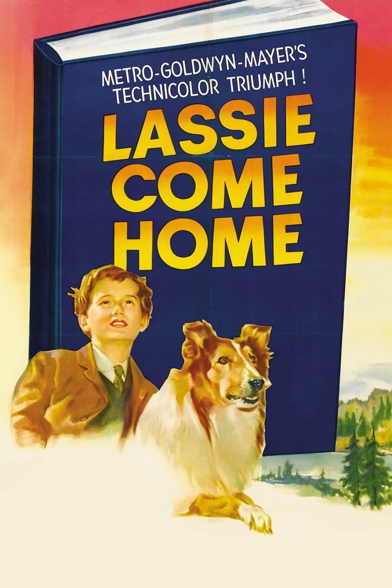 La Fidèle Lassie