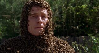Malcolm : photo, Malcolm, Bryan Cranston