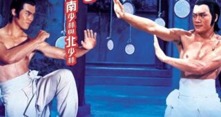 La Fureur Shaolin : Affiche officielle
