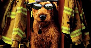 Rex, Chien Pompier : Affiche officielle