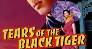 Les Larmes du tigre noir : Affiche officielle