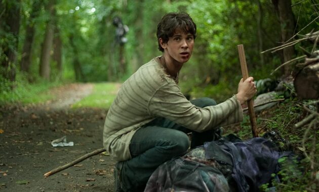 Stake land : photo, Connor Paolo