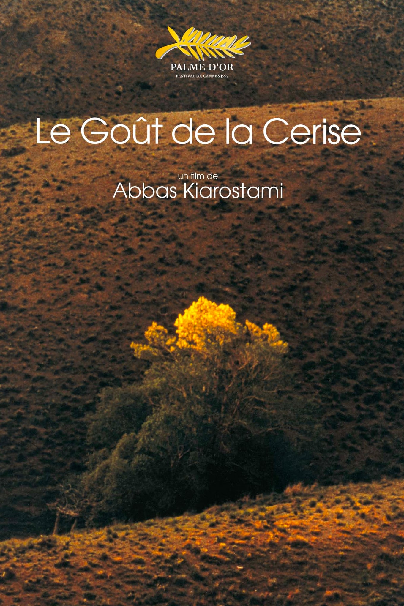 Abbas Kiarostami : Photo officielle