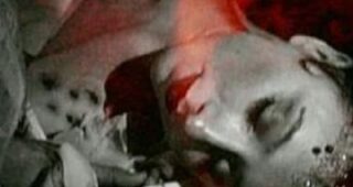 Shadows Choose Their Horrors : Affiche officielle