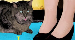 Les Vieux chats : Affiche officielle