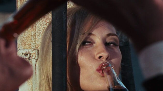 photo, Faye Dunaway