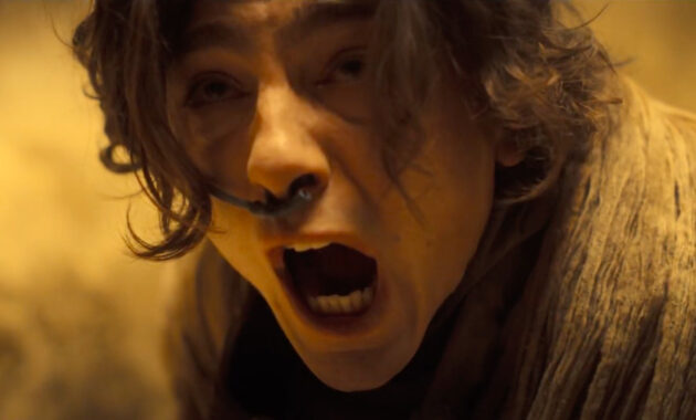 Dune : Photo Timothée Chalamet