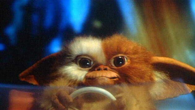 Gremlins : photo