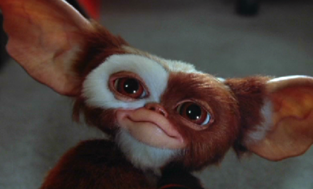 Gremlins : photo