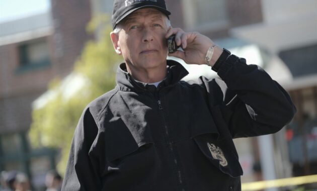 NCIS : Enquêtes spéciales : photo, Mark Harmon