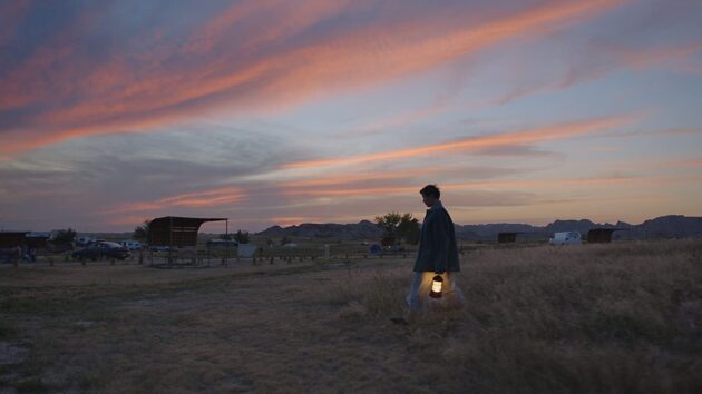 photo, Frances McDormand