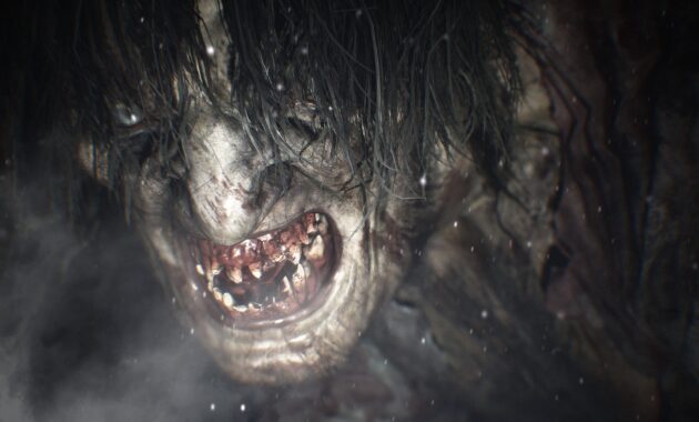 Resident Evil : Village : photo