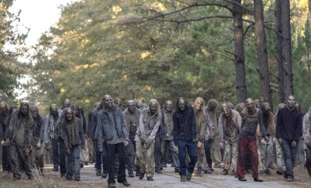 The Walking Dead : photo