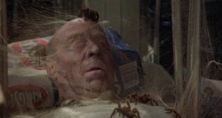 Arachnophobie : photo