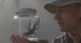 Arachnophobie : photo, Julian Sands