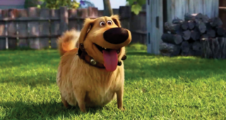 Dug Days : photo