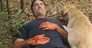 Lost, les disparus : photo, Matthew Fox